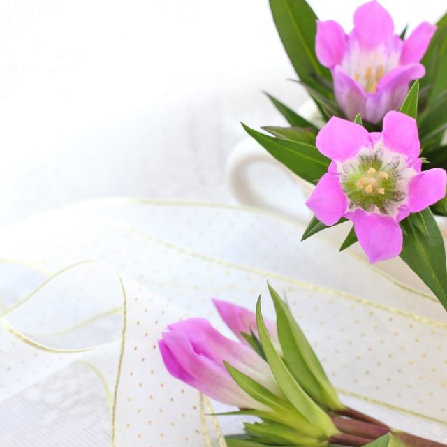 花の定期便hanemeku(ハナメク）の花材「リンドウ」の画像